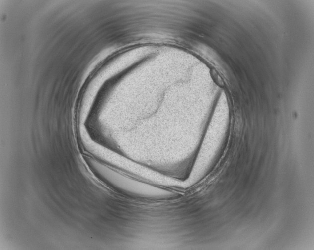 X0000085801283200704131911