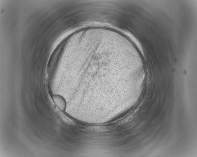 X0000085801287200704131911