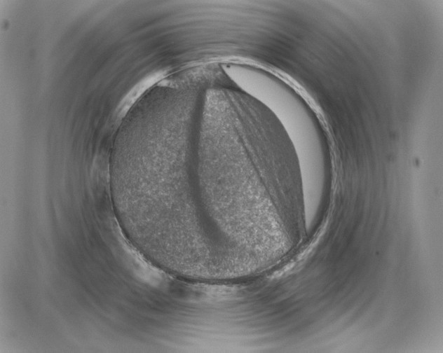 X0000085801289200704131911