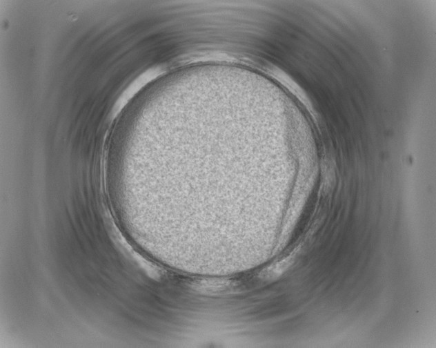 X0000085801290200704131911