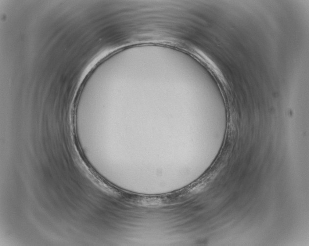 X0000085801291200704131911