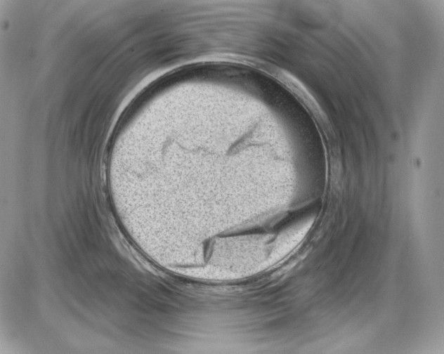 X0000085801292200704131911