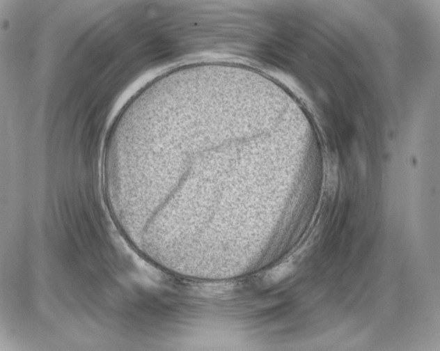 X0000085801294200704131911