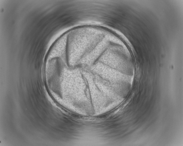 X0000085801295200704131911