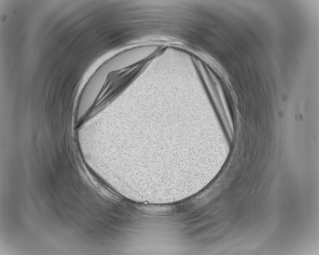 X0000085801296200704131911