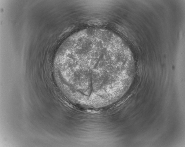 X0000085801297200704131910