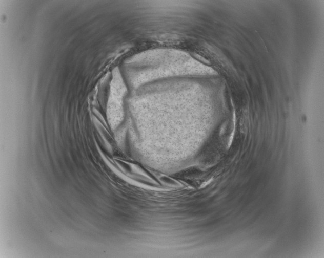 X0000085801298200704131910