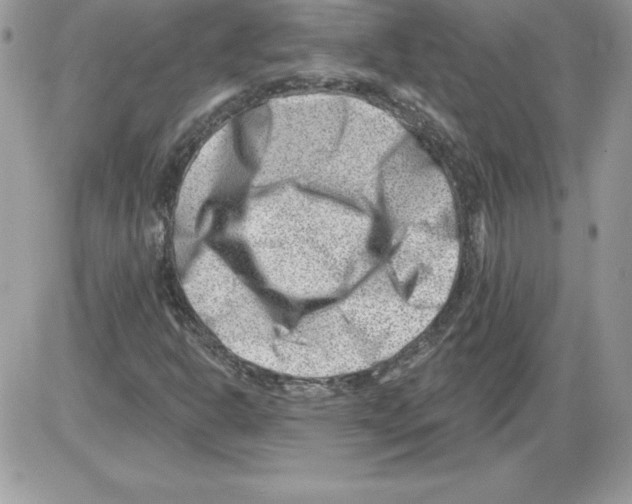 X0000085801302200704131910