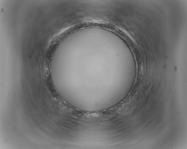 X0000085801303200704131910