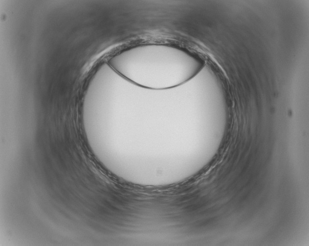 X0000085801304200704131910