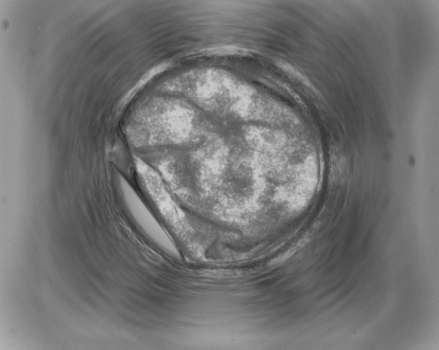 X0000085801305200704131910