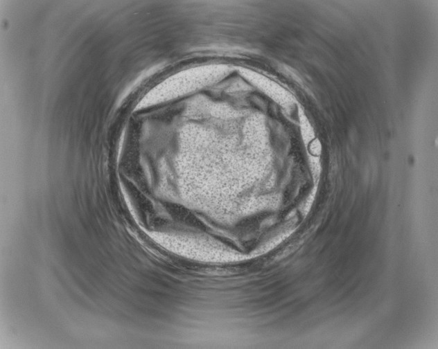 X0000085801307200704131911