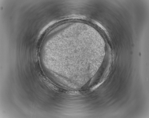 X0000085801310200704131911