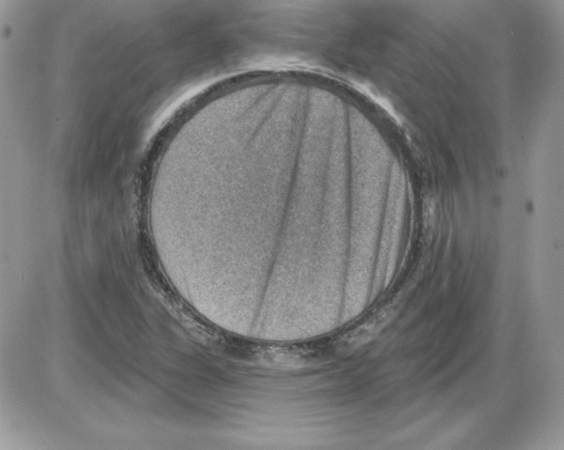 X0000085801311200704131911