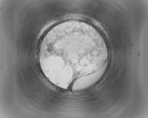 X0000085801312200704131911