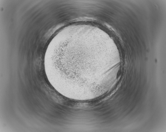 X0000085801313200704131911