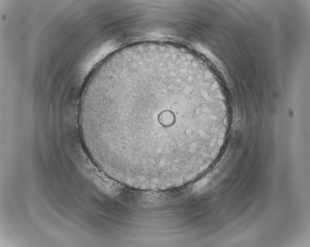 X0000085801314200704131911