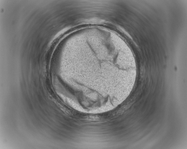 X0000085801315200704131911