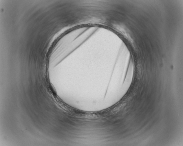 X0000085801316200704131911