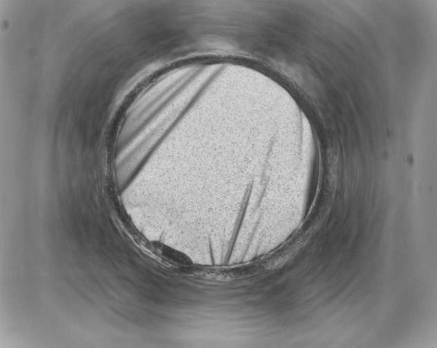 X0000085801318200704131911