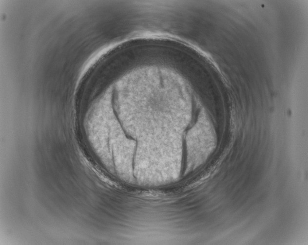 X0000085801319200704131911