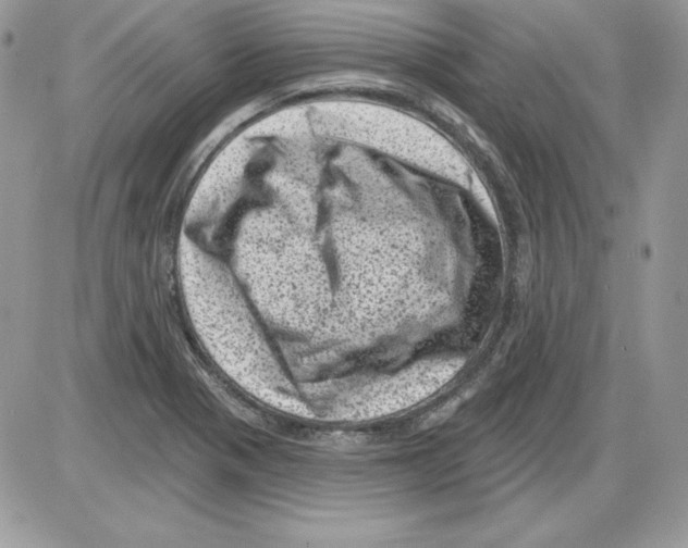 X0000085801321200704131911