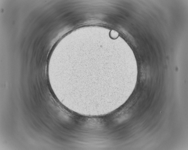 X0000085801322200704131911