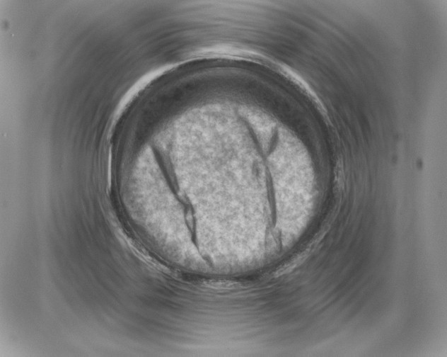 X0000085801323200704131911