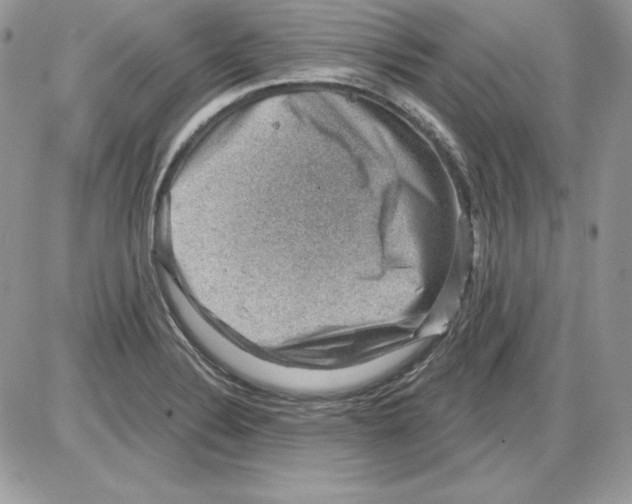 X0000085801324200704131911