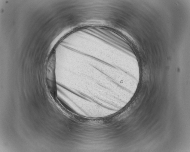 X0000085801325200704131911