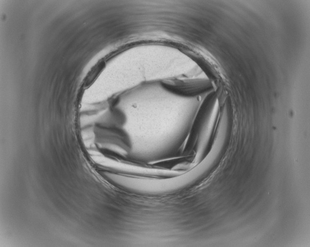 X0000085801326200704131911