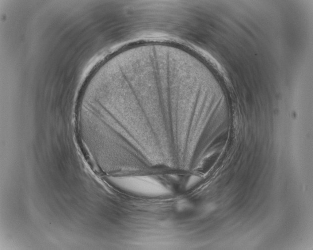 X0000085801327200704131911