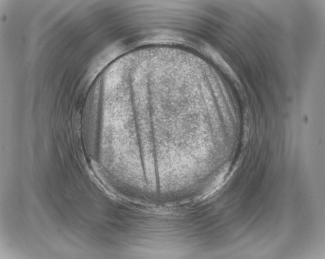 X0000085801329200704131911