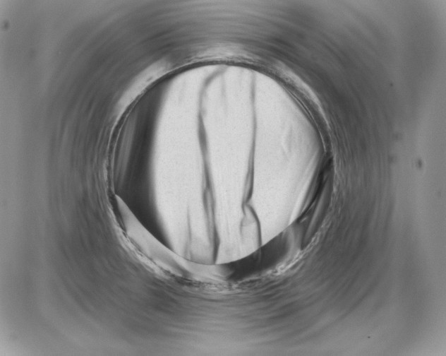 X0000085801330200704131911