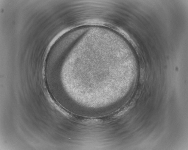 X0000085801331200704131911