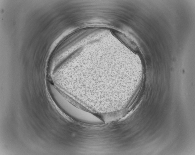 X0000085801333200704131911