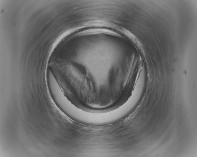 X0000085801334200704131911