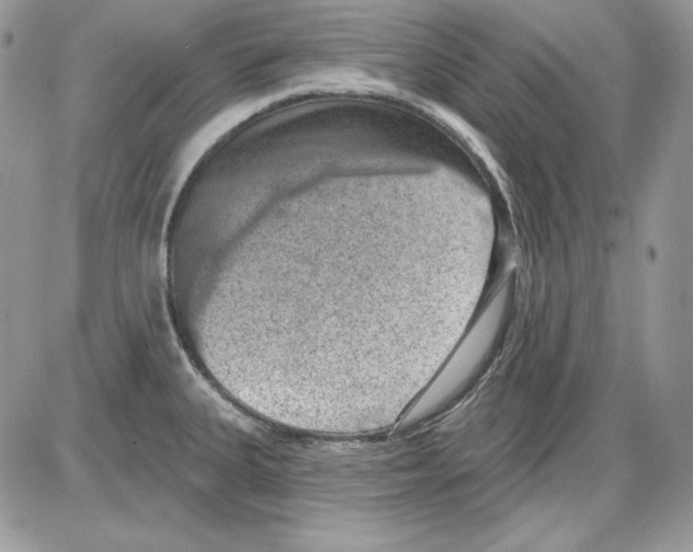 X0000085801335200704131911