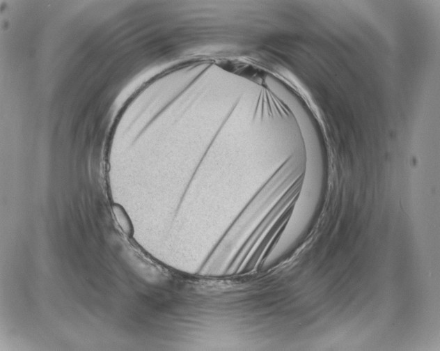 X0000085801336200704131911