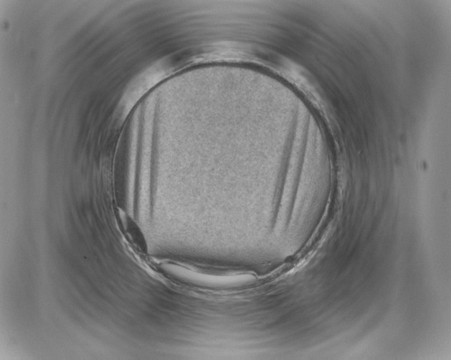 X0000085801337200704131911