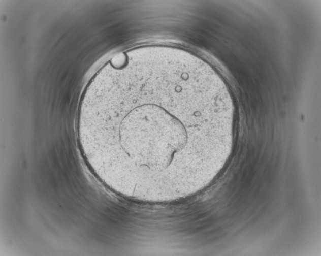 X0000085801338200704131911