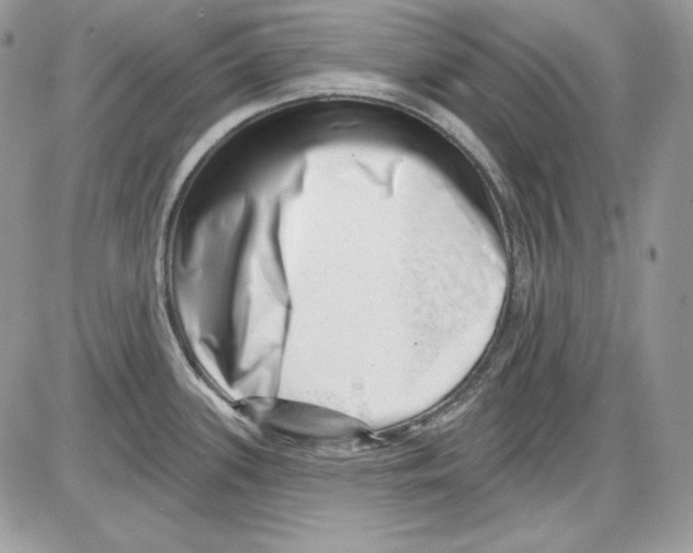 X0000085801339200704131911