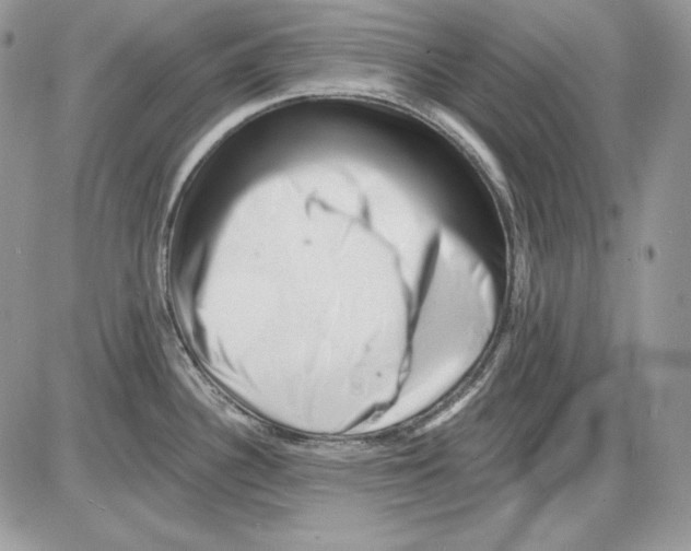 X0000085801340200704131911