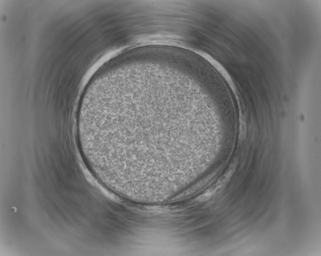 X0000085801341200704131911