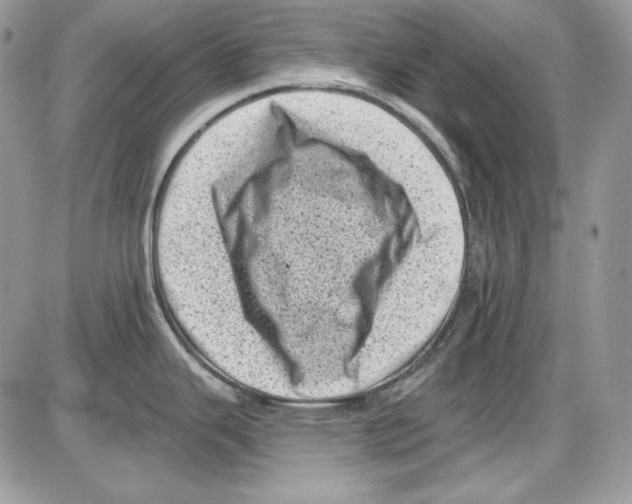 X0000085801343200704131911