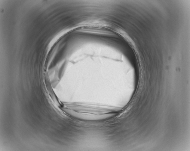 X0000085801344200704131911