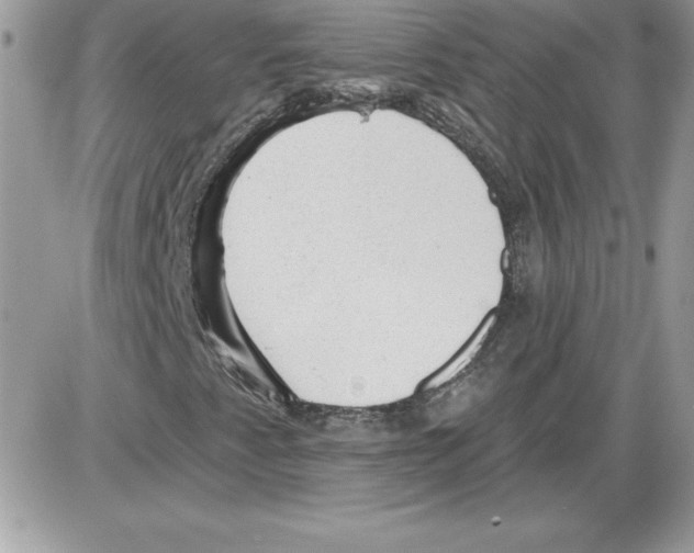 X0000085801345200704131910