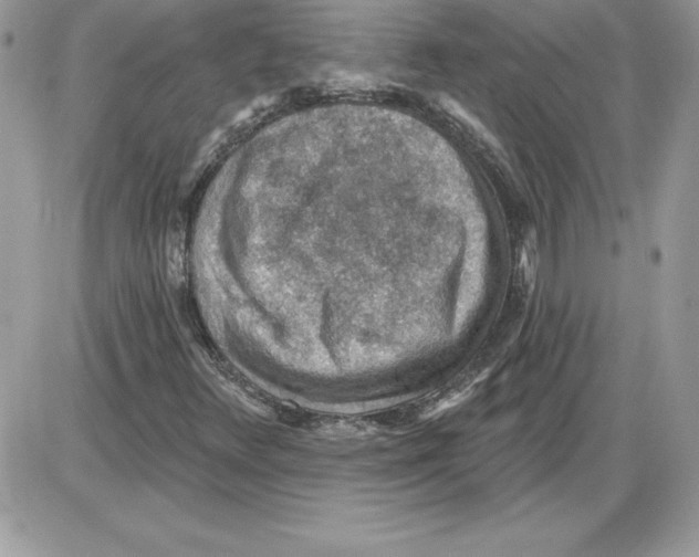 X0000085801348200704131910