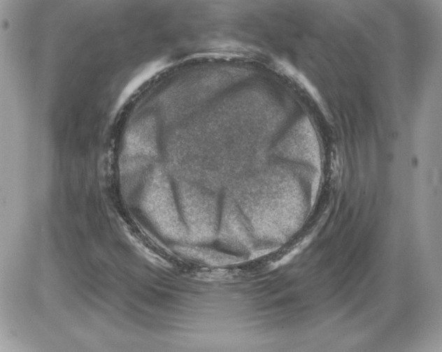 X0000085801352200704131910