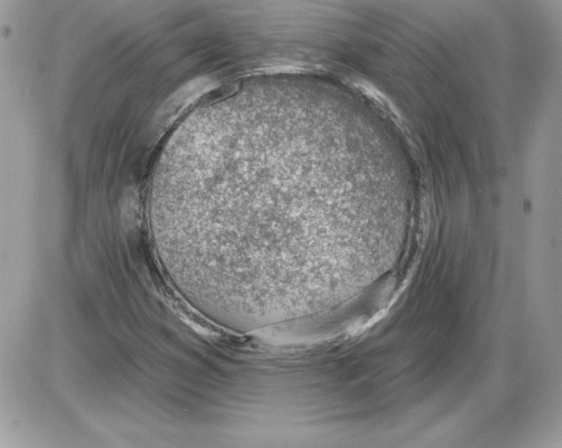 X0000085801353200704131910